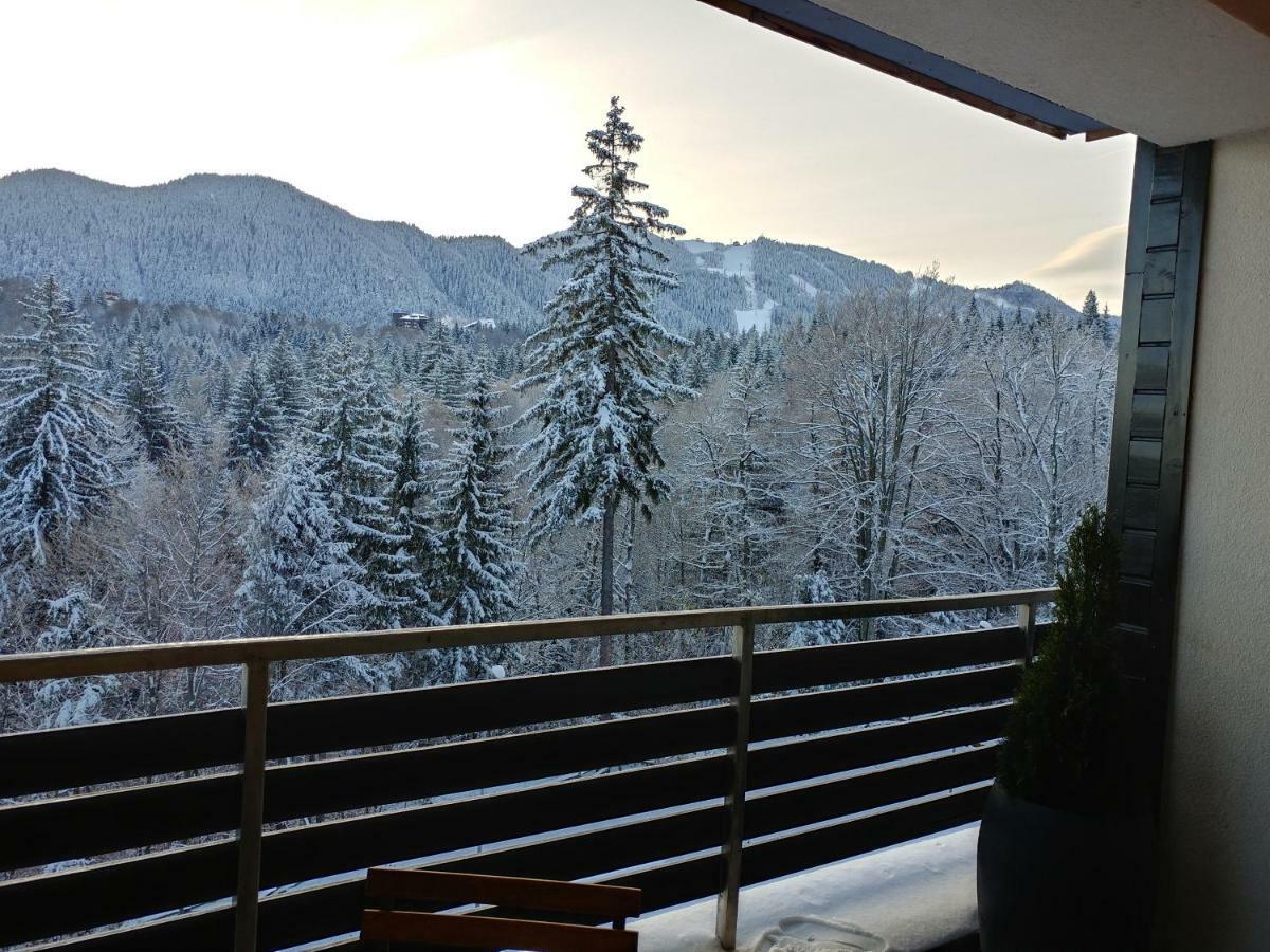 Dor Apartment Poiana Brasov Extérieur photo